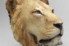 3D-lion-head-model_Z