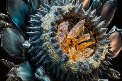 Blooper1980_ultra-sharp_photography_of_a_colorfull_crystal_flow_749e7c9c-4034-49b3-8a16-0a466345c9c8