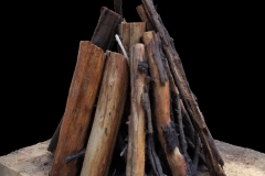 Friewoodrender.498.jpg244BDEBD-ECAB-4481-AF43-257B1581D815Zoom