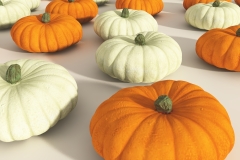 Pumpkin1.jpgea6b94f4-abbe-482c-ab91-969553e8e0aaZoom