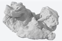 R5