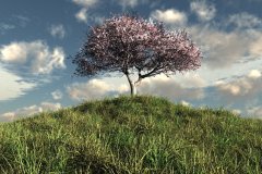 Tree_Test_render_by_Blooper1980