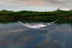 feather_on_the_water_by_blooper1980_d1c84ta-fullview