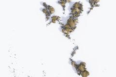 frog_by_blooper1980_d4cwjmd-fullview
