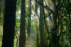 sun_city_4_by_blooper1980_d3llch5-fullview